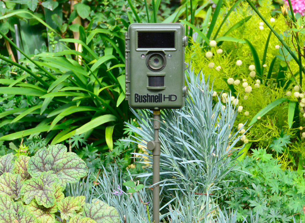 trail camera and camera trap set up using our E2 Ground spike . Made in the UK