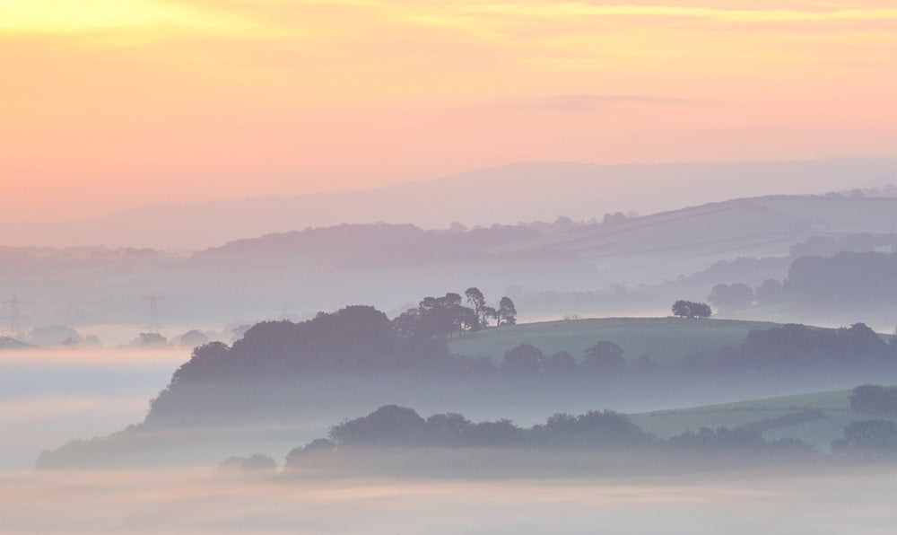 I used one of our Double bean bags on a field gate to give support to my camera and lens for this misty morning sunrise. Our camera support bean bags are ideal for slow shutter speed photography. Our camera bean bags are ideal for nature and wildlife photography.
