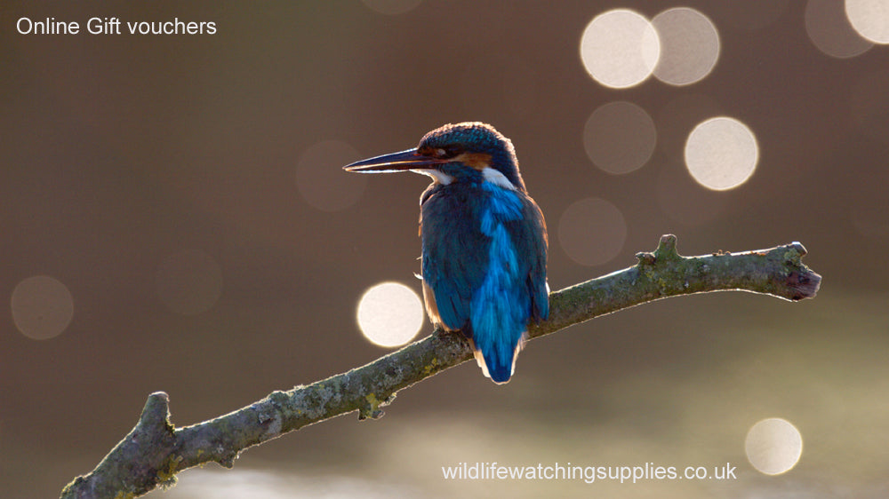 Wildlife Watching Supplies Gift vouchers. Gift vouchers, Gift card, Gift cards, wildlife watching supplies,