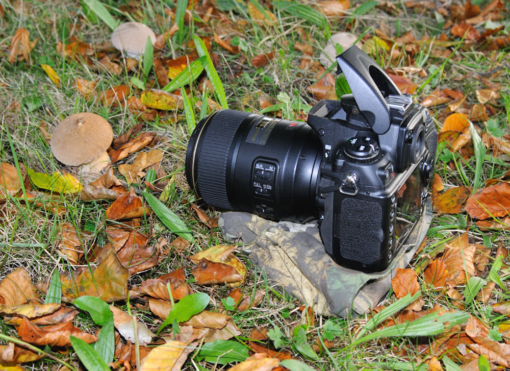 zoom lens camera support for sharper shots, wildlife photography, camera bean bags, camera supports, Slow shutter speeds, low light photography, nature photography using bridge cameras, spotting scopes and zoom lenses, camera bean bags, macro photography, fungi photos, low level photography