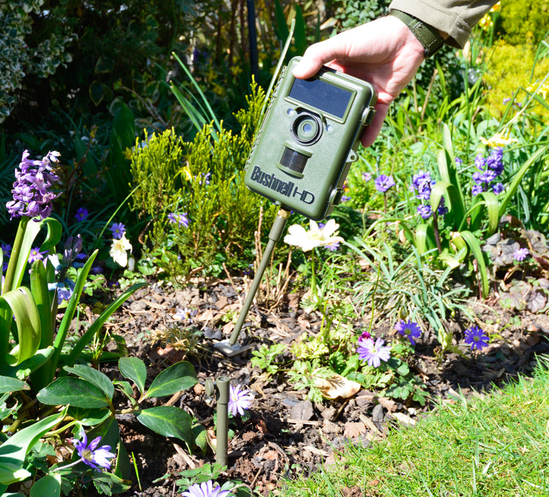 Our Ground Spikes are ideal for trail cameras and camertrap nature photography. Our Ground spike camera mounts can be used for remote triggers, flashguns and small cameras. The camera trap ground spikes can be screwed into the ground for a solid support, ideal for remote wildlife photography.