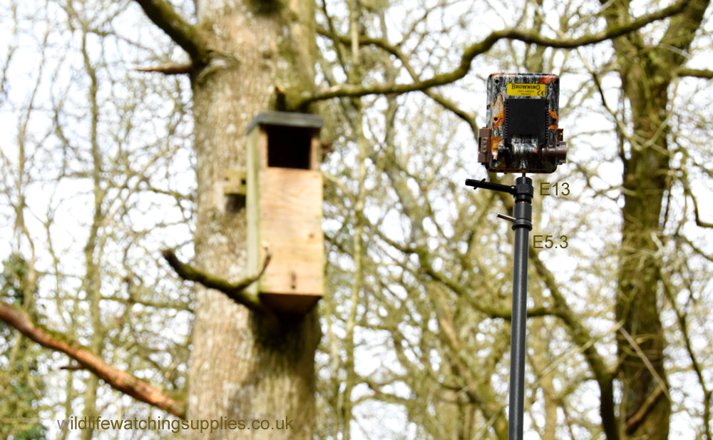 Our Ground Spikes are ideal for trail cameras and camera trap nature photography. Our Ground spike camera mounts can be used for remote triggers, flashguns and small cameras. The camera trap ground spikes can be screwed into the ground for a solid support, ideal for remote wildlife photography.