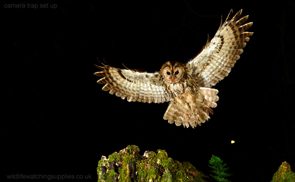 waterproof camera flash covers, ideal for camera traps and night photography, nature photography, wildlife photography, wireless camera triggers, high speed flash photography, birds in flight photography, owl photography and camera trapping. Photographing nocturnal wildlife