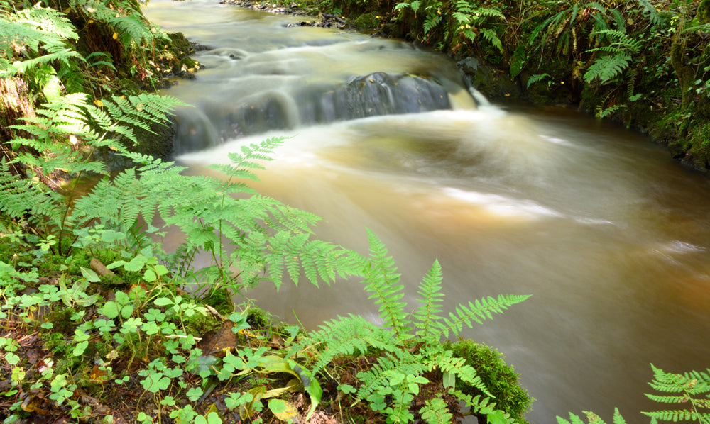 For this slow shutter speed photo I used my Double bean bag as a steady support for my camera