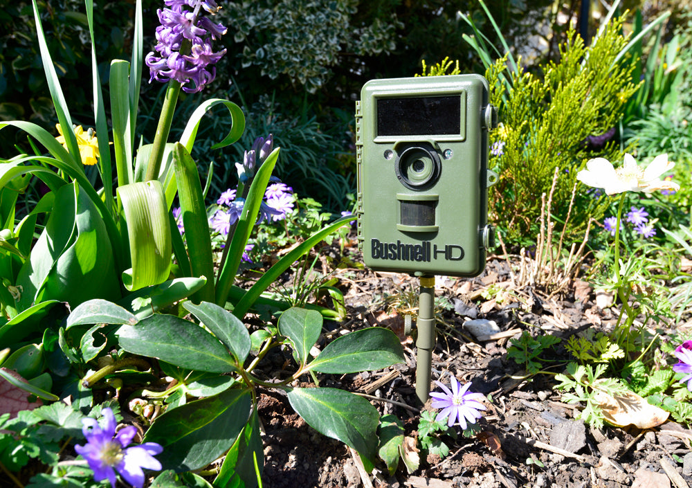 Our Ground Spikes are ideal for trail cameras and camertrap nature photography. Our Ground spike camera mounts can be used for remote triggers, flashguns and small cameras. The camera trap ground spikes can be screwed into the ground for a solid support, ideal for remote wildlife photography.